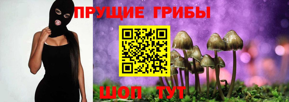 Галлюциногенные грибы MAGIC MUSHROOMS Новоалтайск